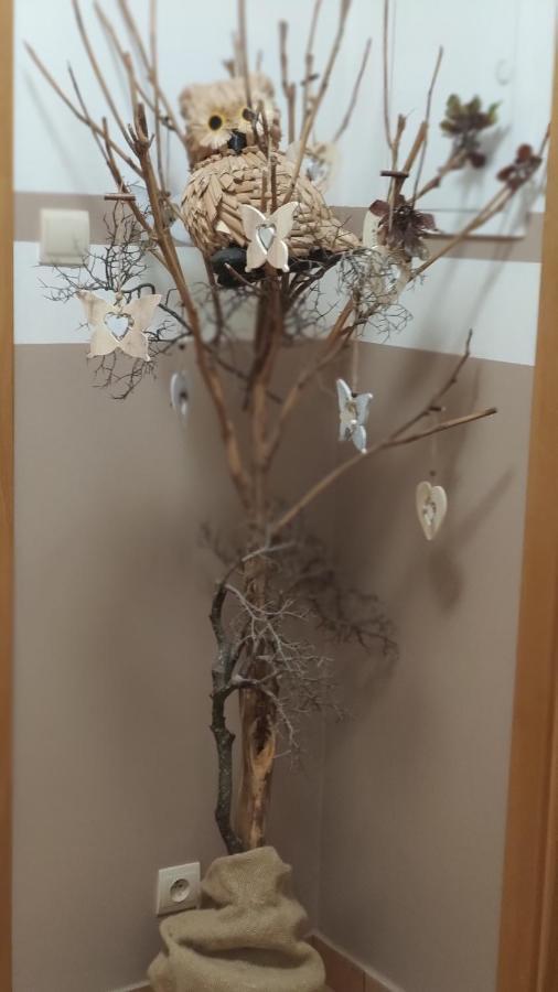 Margus Apartmany オシュチュニツァ エクステリア 写真